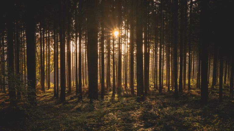 Living in step with your sign
